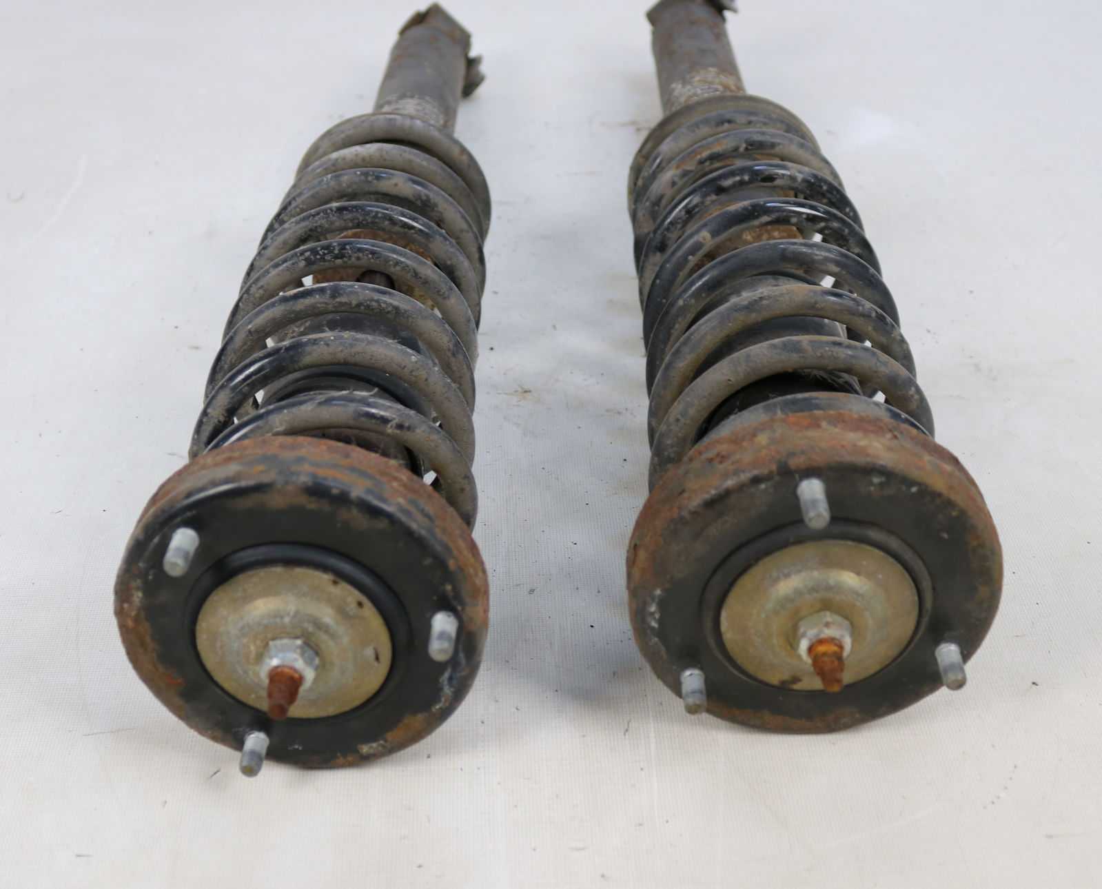 BMW E39 5Series Rear Suspension Springs Struts Left Right Set 530i